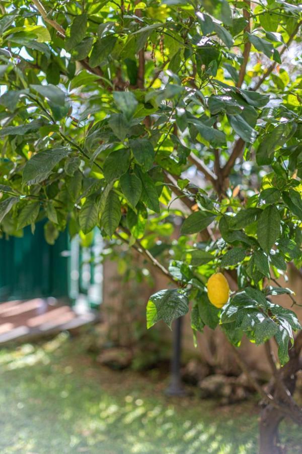 Elfaro Kitty - Stylish Apartment Close To S. Peter Ρώμη Εξωτερικό φωτογραφία
